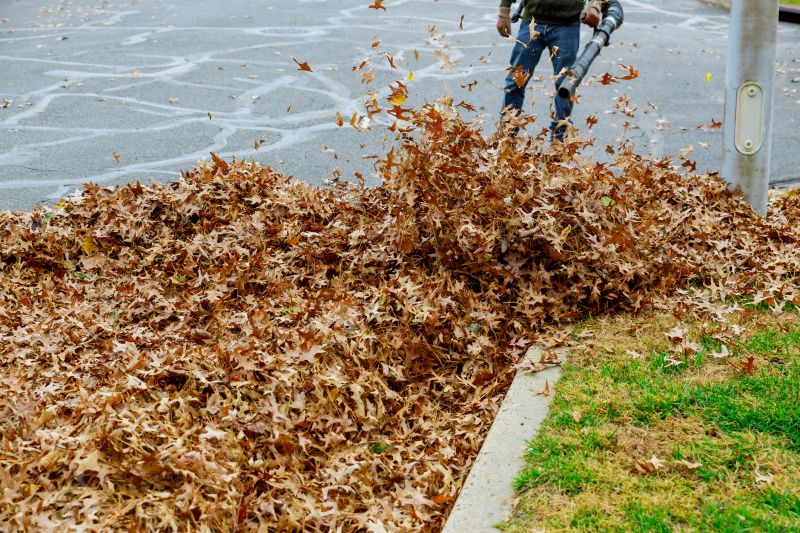 Customized Leaf Removal Plans