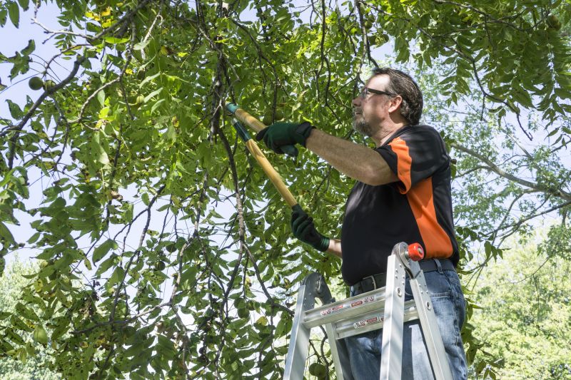 Tree Health Maintenance
